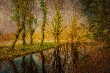 Abstract multiple exposure beauty of nature reflection of trees in water in autumn by Dieter Walther