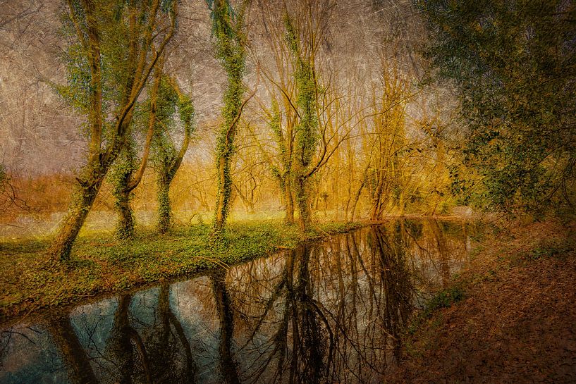 Abstrakt Mehrfachbelichtung  Schönheit  der Natur Spiegelung von Bäumen in Wasser  im Herbst von Dieter Walther