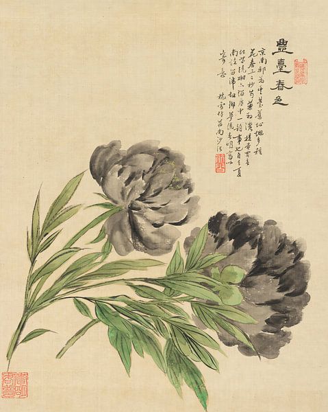 Liang Yuwei - Flowers Pl.03 by Peter Balan