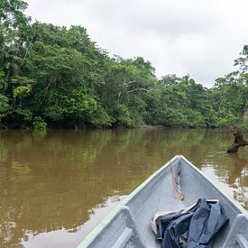 Ecuador - Jungle - Amazon by Eline Willekens