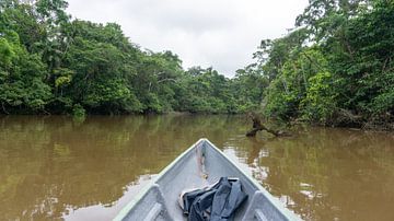 Ecuador - Jungle - Amazone van Eline Willekens