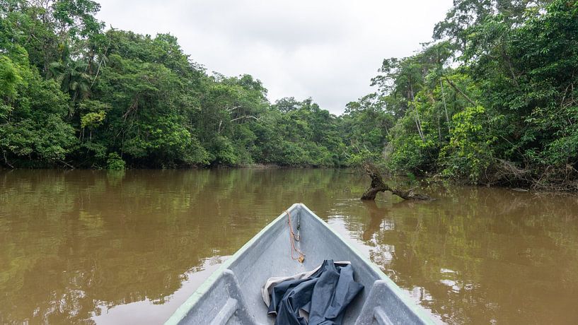 Ecuador - Dschungel - Amazonas von Eline Willekens