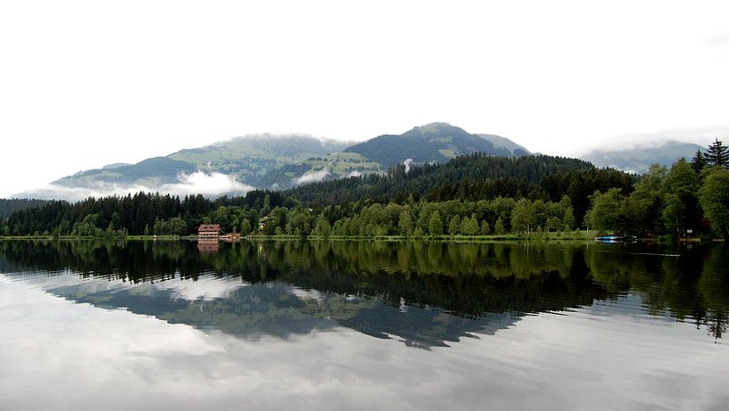 Mehr in Österreich von Greta Lipman