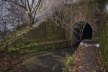 Tunnel Roodborn (Eys) van Rob Boon