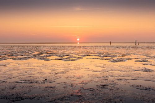 Rest on the mudflats at low tide - Wadden Sea