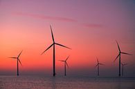 Les éoliennes d'un parc éolien en mer produisent de l'électricité par Sjoerd van der Wal Photographie Aperçu