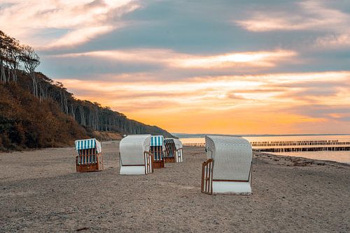 Sunrise on the beach Ghost Forest Nienhagen on the Baltic Sea, Baltic Sea coast, Mecklenburg-Western Pomerania, Germany