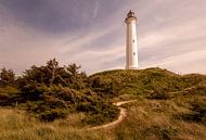 Lyngvig Fyr lighthouse in the evening by Matthias Nolde thumbnail