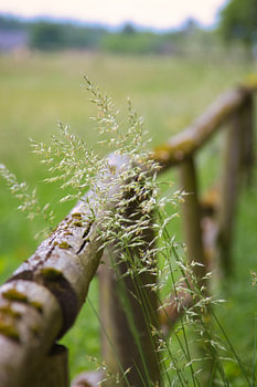 Out and about in the countryside ...