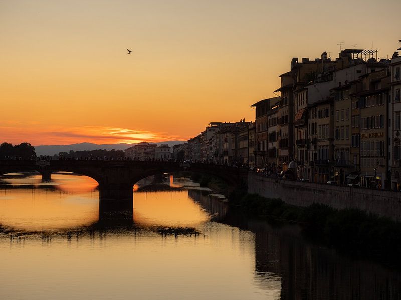 Florence by Hello Pompoyo