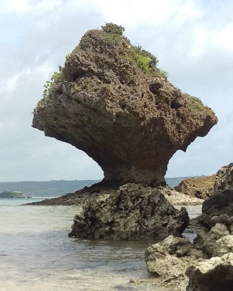 Rock shaped by the sea - Okinawa von Daniel Chambers