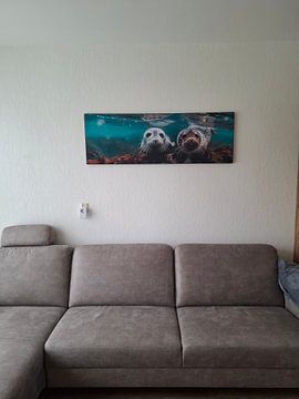 Customer photo: Bright Eyes by Harry Hadders Design