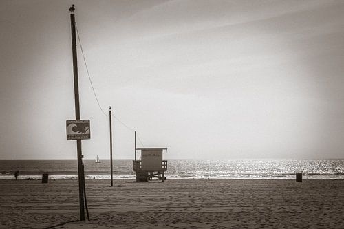 Venice Beach