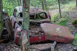 Car cemetery in forest in Ryd, Sweden by Joost Adriaanse
