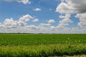 Landschap