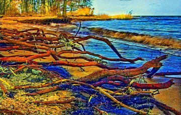 Roots on the beach by Holger Felix