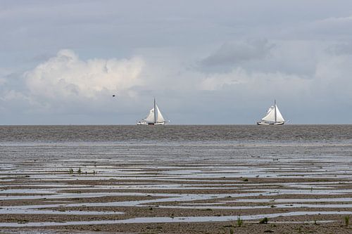 Zeilschepen op de Waddenzee