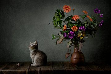 Still life of a small kitten / cat and a mouse with orange purple flowers. by Cindy Dominika