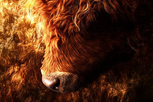 Beer met gedetailleerde vachttextuur