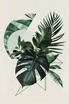 Tropische bladeren Monstera van Felix Brönnimann