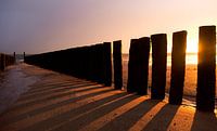 Beach poles against evening sun