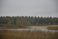 assen Baggelhuizerplas