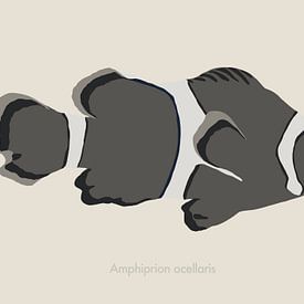 Een minimalistische illustratie van een anemoonvis, ook wel bekend als clownvis in grijstinten van UMA Digital NL