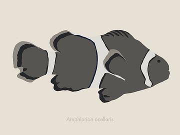 Een minimalistische illustratie van een anemoonvis, ook wel bekend als clownvis in grijstinten