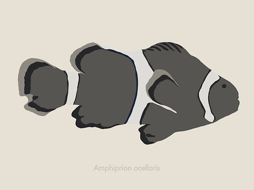 Eine minimalistische Illustration eines Clownfisches in Grautönen