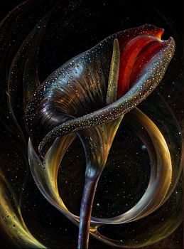 Kosmische Lelie: Dans van de Lorenz