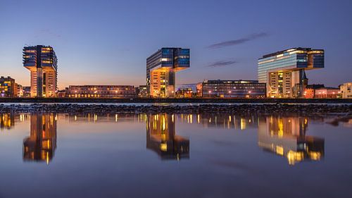 Maisons grue Cologne