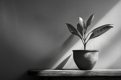 Minimalistische fotografie