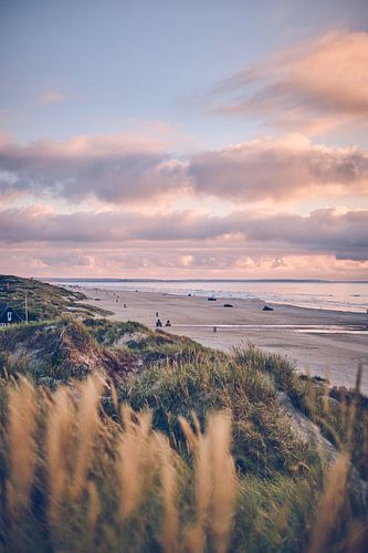 Car beach near Blokhus in the evening