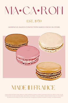 French Macaron Delight