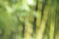 Abstract Green