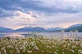 Sonnenuntergang Loch Linnhe, Schottland von Marja Koole