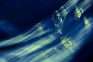 Seelen zum Himmel - abstrakte Fotografie