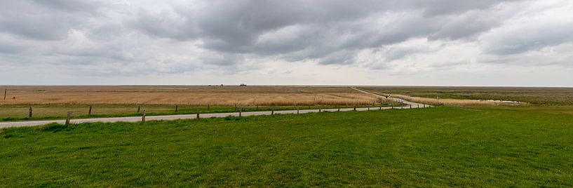 Peter die Panorama bestelt van Alexander Wolff