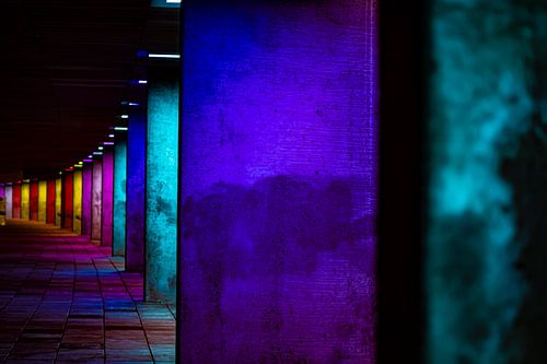 Rotterdam staat er gekleurd op