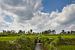 Schöne Landschaft mit Reisterrassen und Kokosnusspalmen in der Nähe des Dorfes Tegallalang, Ubud, Ba von Tjeerd Kruse