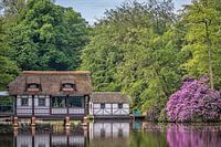 Boothuisje in de lente