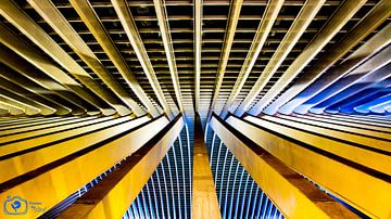 Lines in architecture by Frames by Frank
