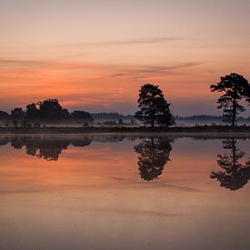 Lever de soleil sur le sable d'Aekinger sur Sjoukelien van der Kooi