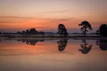 Sonnenaufgang auf dem Aekinger Sand