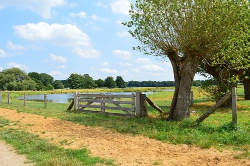colorful landscape / kleurrijk landschap