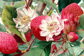 Bloemen en Vruchten Tropische Botaniek in Detail