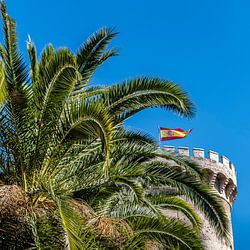 Les Torres de Quart et la Palme à Valence