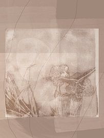 Abstrakte Wanddekoration im botanisch-minimalistischen Stil in warmem Taupe von Dina Dankers