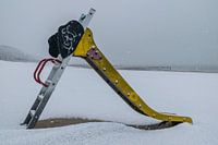 Einsamer Sturmtaucher am verschneiten Strand von Zoutelande
