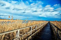 Footbridge to the Federsee
